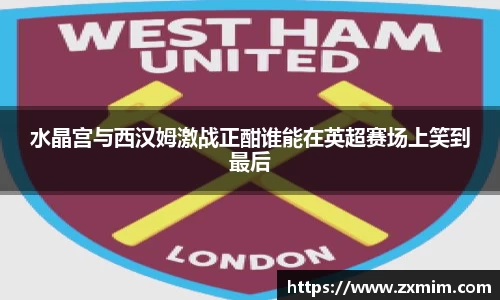 水晶宫与西汉姆激战正酣谁能在英超赛场上笑到最后